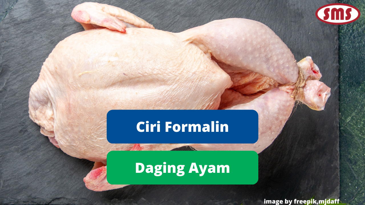 Ketahui Ciri Daging Ayam Yang Mengandung Formalin